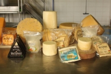 Quesoton Mejía 2019: la feria de sabores que conquistará el paladar